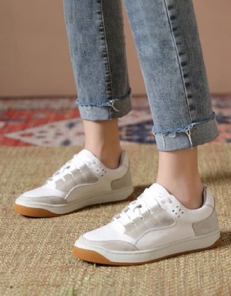 Farblich Passende Lässige Ledersneaker Für Damen